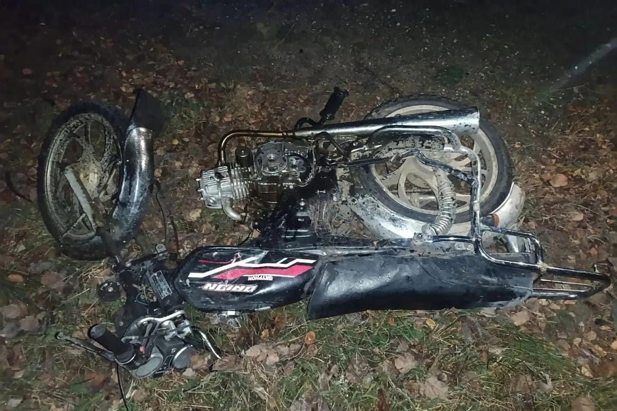 ومنذ بداية العام في منطقة كوستروما، حدد أكثر من 300 1 سائق سكير