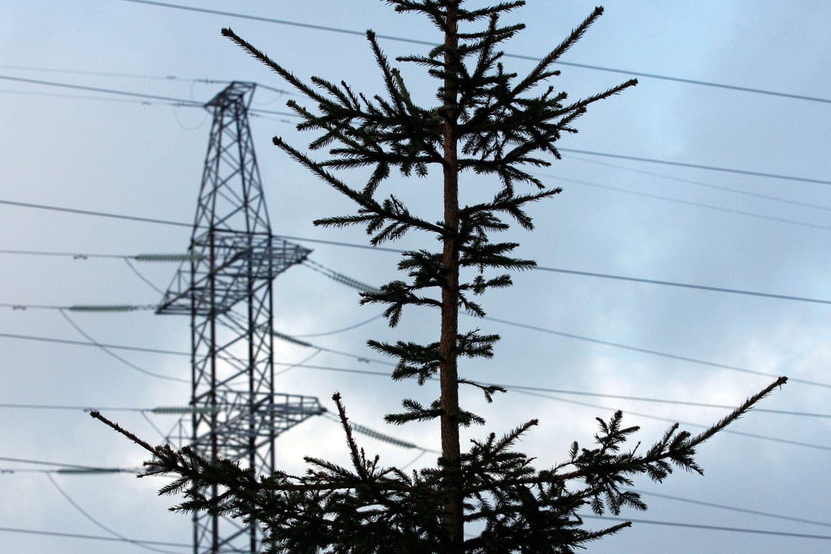 Advisor to the head of Crimea reported an accident on the power grid