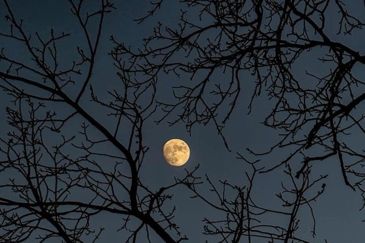 29 октября отмечают именины Лонгина, Алексея, Георгия и других: что говорят о рождённых в этот день и о снах этой ночи