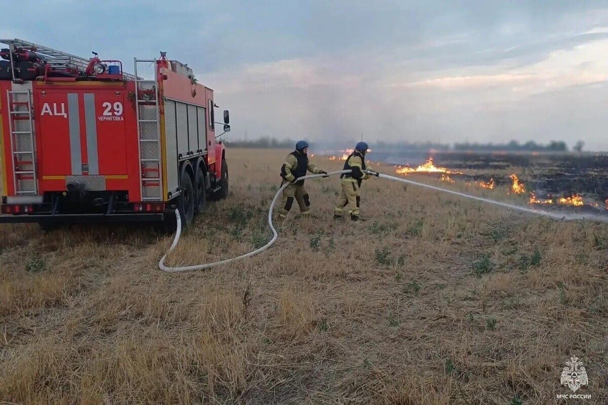 В Запорожской области за сутки потушили один пожар
