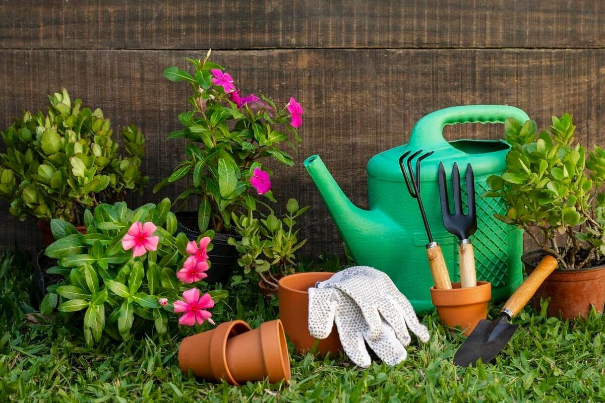 Penza summer residents told how to save the house from frost