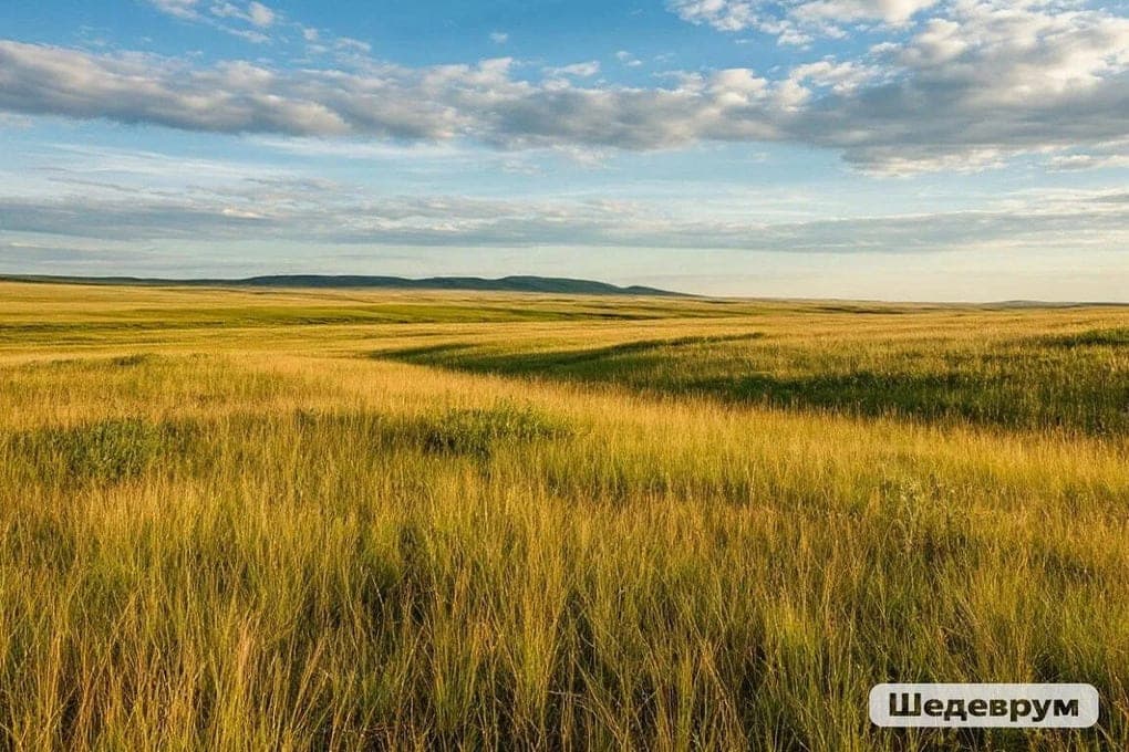 Tomorrow signs will tell about the weather in Kalmykia for months ahead