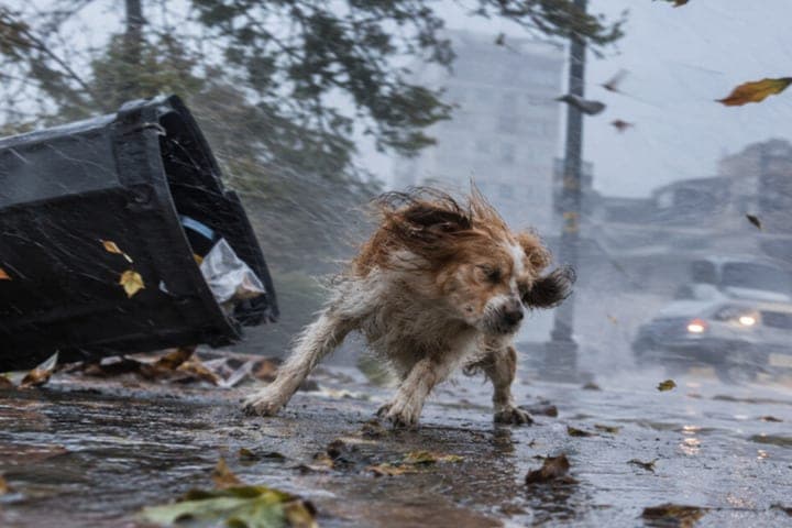 Hurricane wind will be delayed in Rostov until October 30