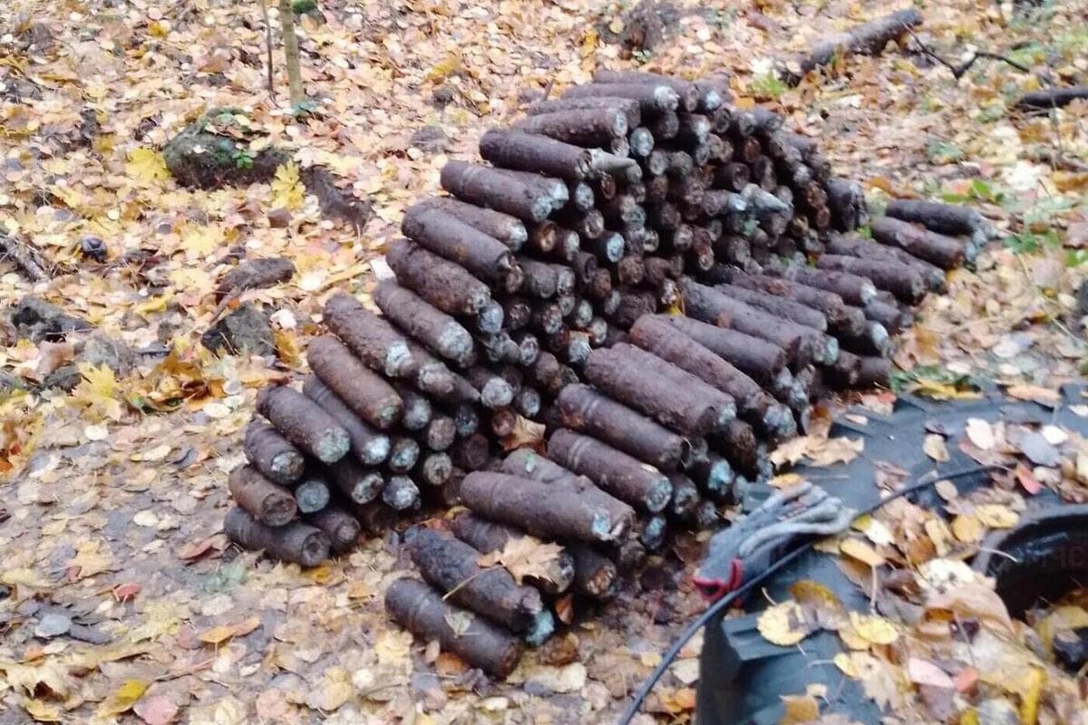 Near Kaluga defused more than 200 shells
