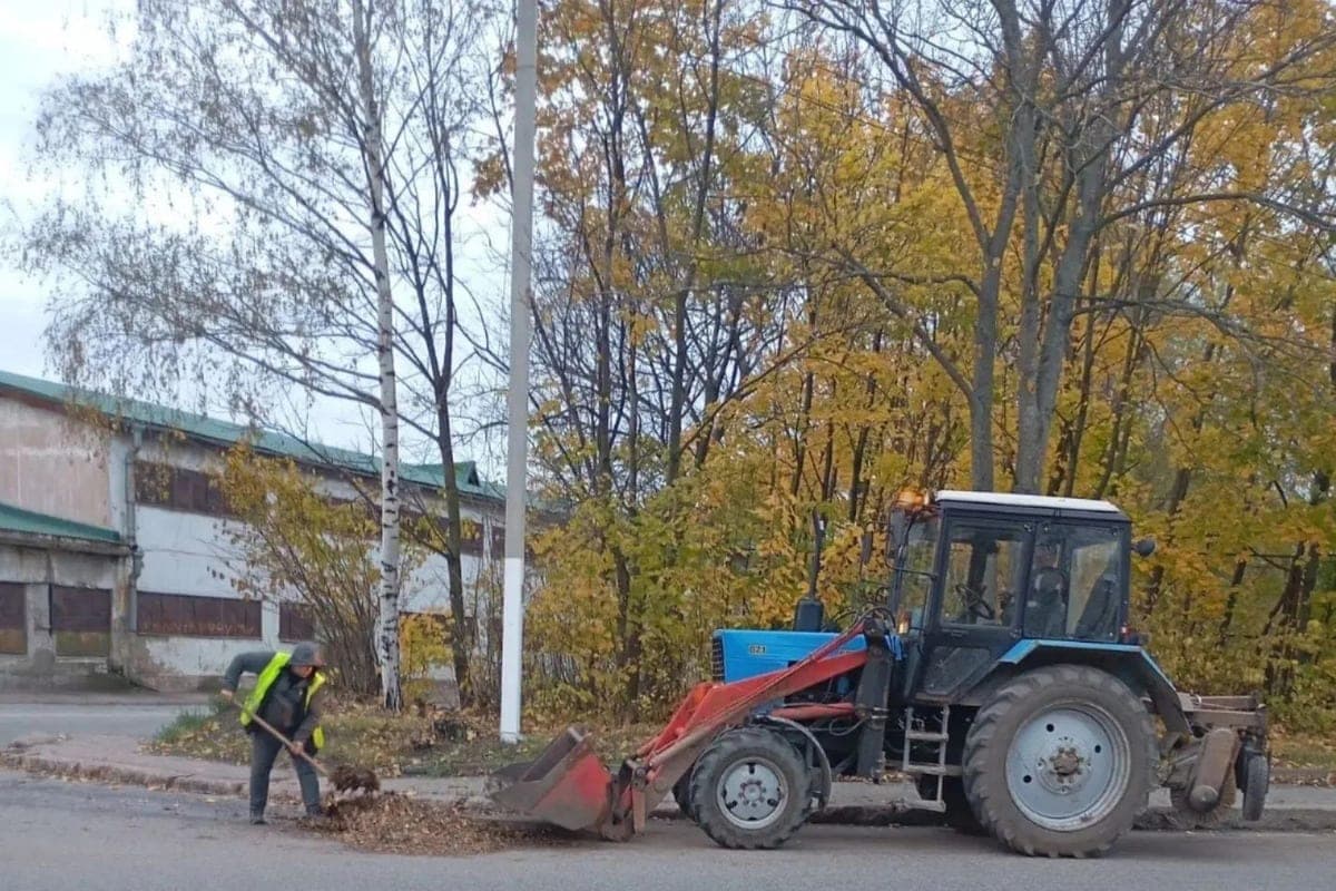 In Vyborg carry out autumn cleaning and improvement work