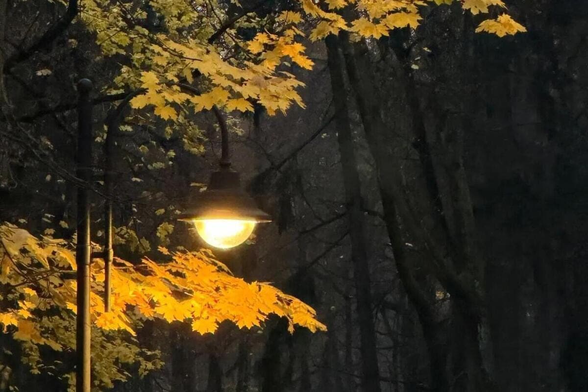 The head of Yessentukov announced the update of lighting in the Resort Park