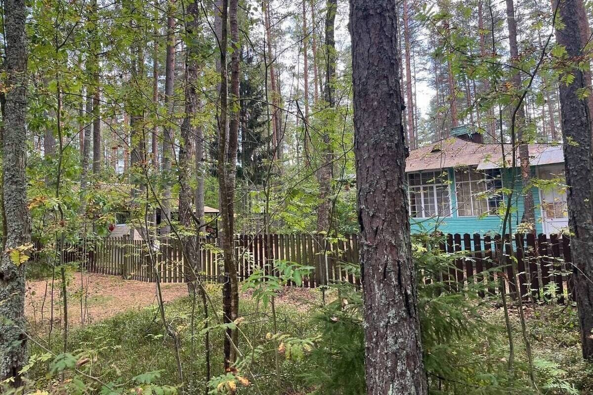 How to issue a built house in the property: Rosreestr has drawn up an action plan for residents of the Murmansk region