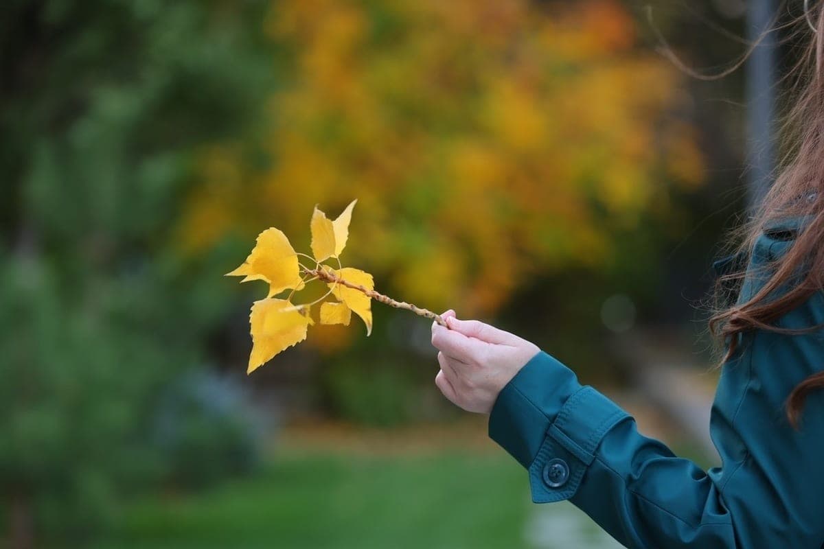Volgograd residents were reminded of holidays and ancient traditions on October 23