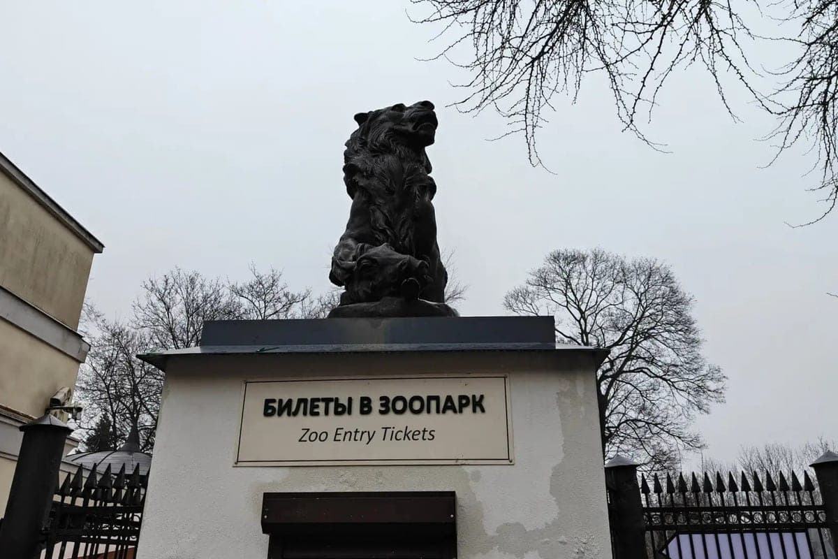 In the Kaliningrad zoo, a teenager threw a lemur into an aviary of a keychain