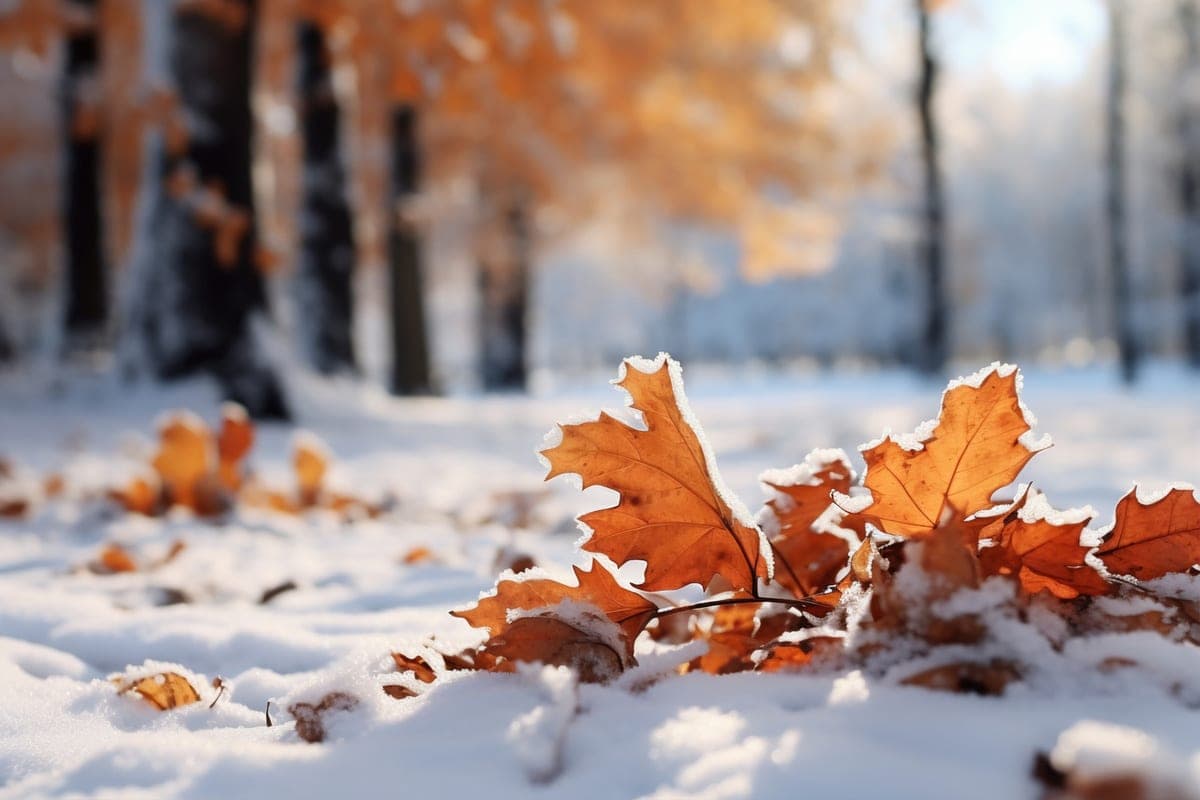 In Krasnoyarsk on Wednesday expected snow and ice