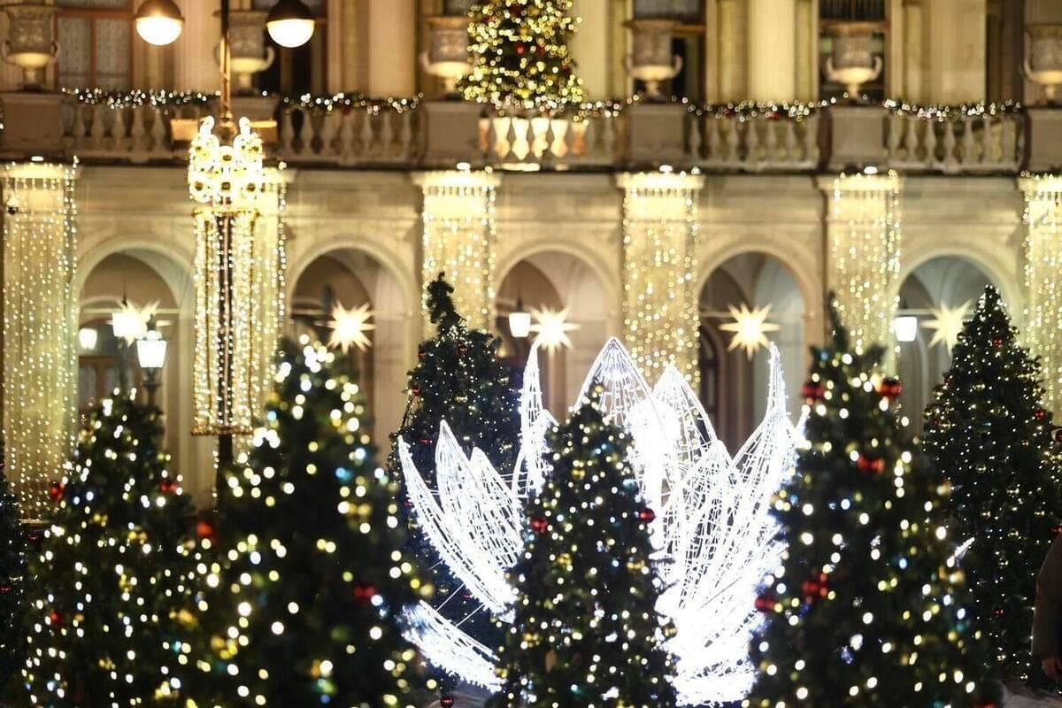 Palace Square will be decorated with 74 firs by the new 2027