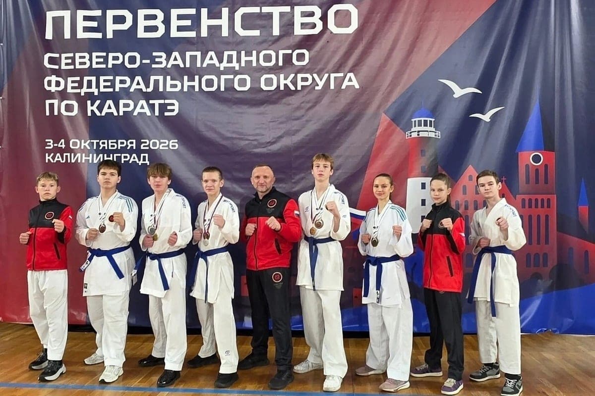 Novgorod karate players brought nine medals from the district competitions