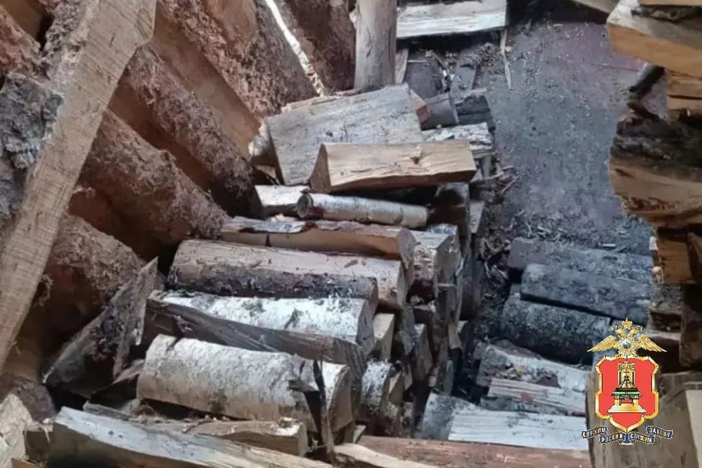 In the Tver region, two gypsies for a month dragged wood from the neighbor’s shed