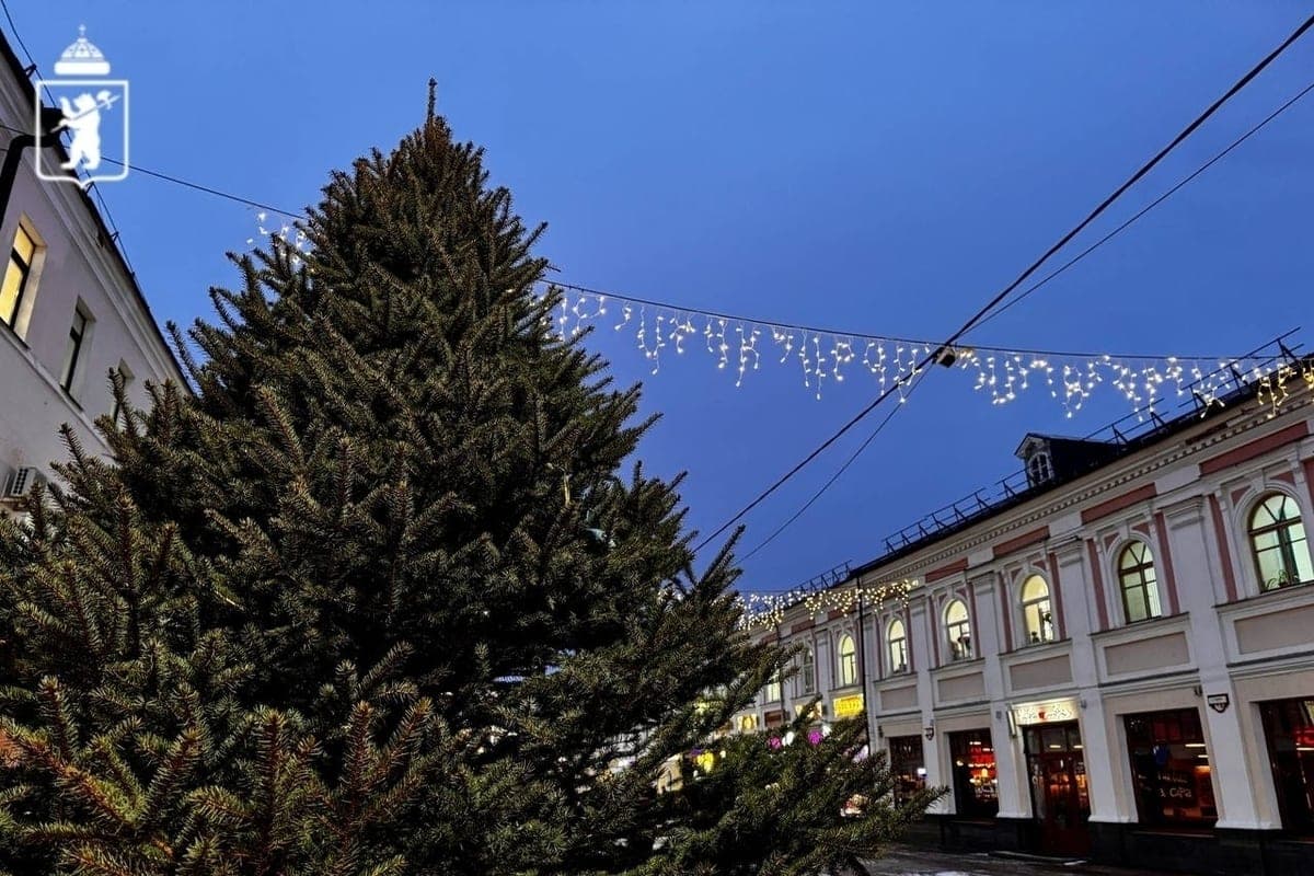 In Yaroslavl started the action “Tree as a gift”