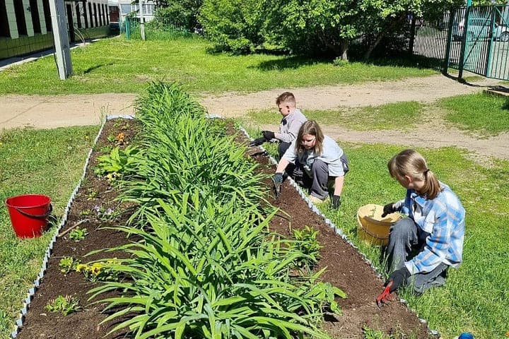 In Pomorie summed up the results of the correspondence review contest “The best school forestry”