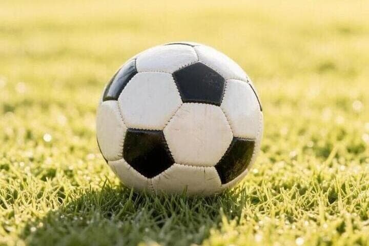 Serbian national football team punished for the behavior of fans