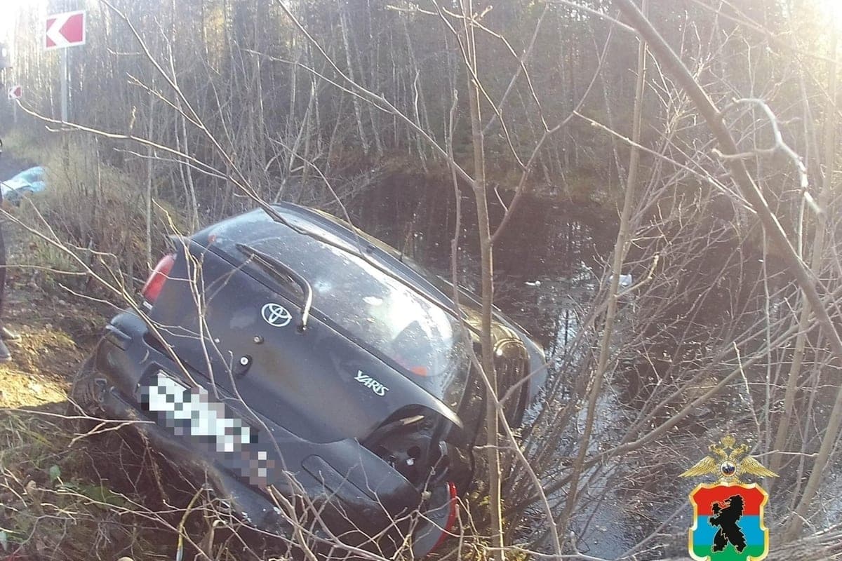 Female driver who became the culprit of a fatal accident in the Kondopoga district, will appear in court