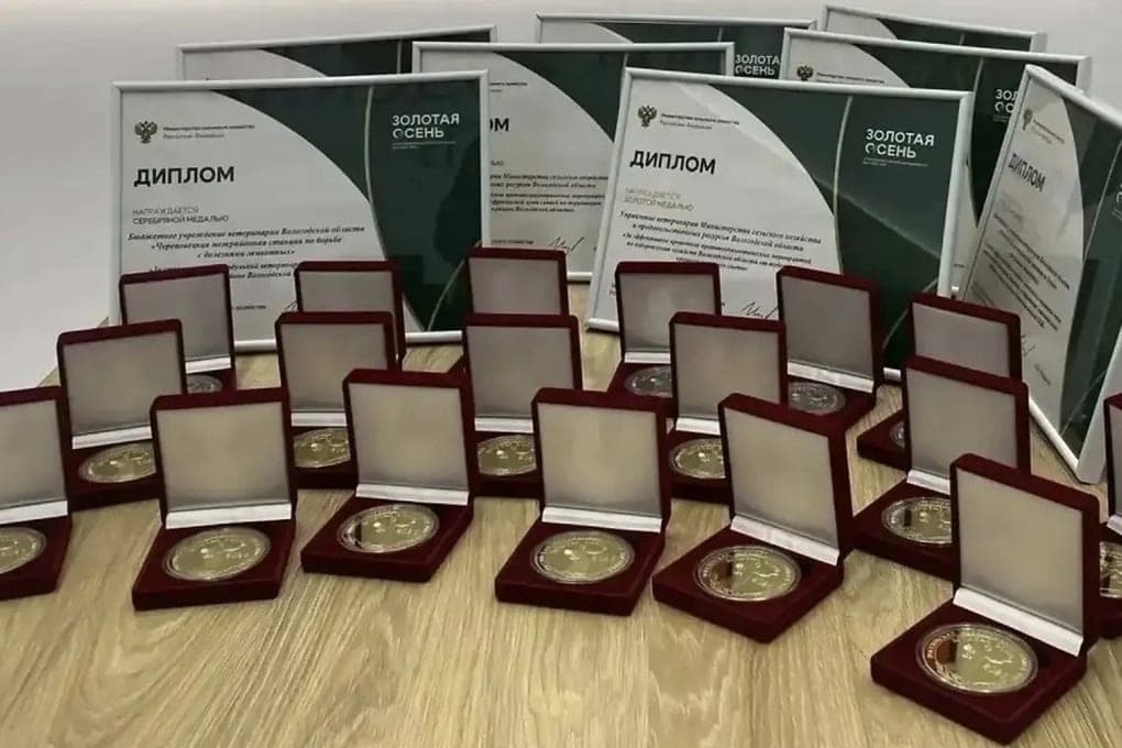 Vologda farmers brought 31 awards from the exhibition "Golden Autumn - 2026"