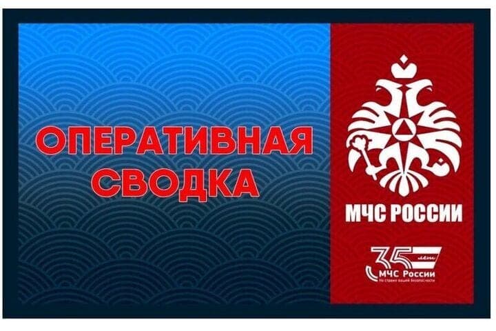 During the day in the Smolensk region eliminated three fires
