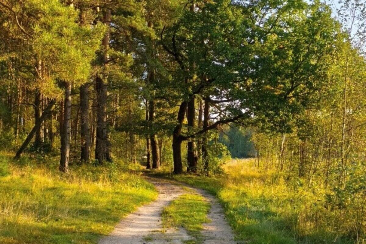 Man walks around the globe in 28 years