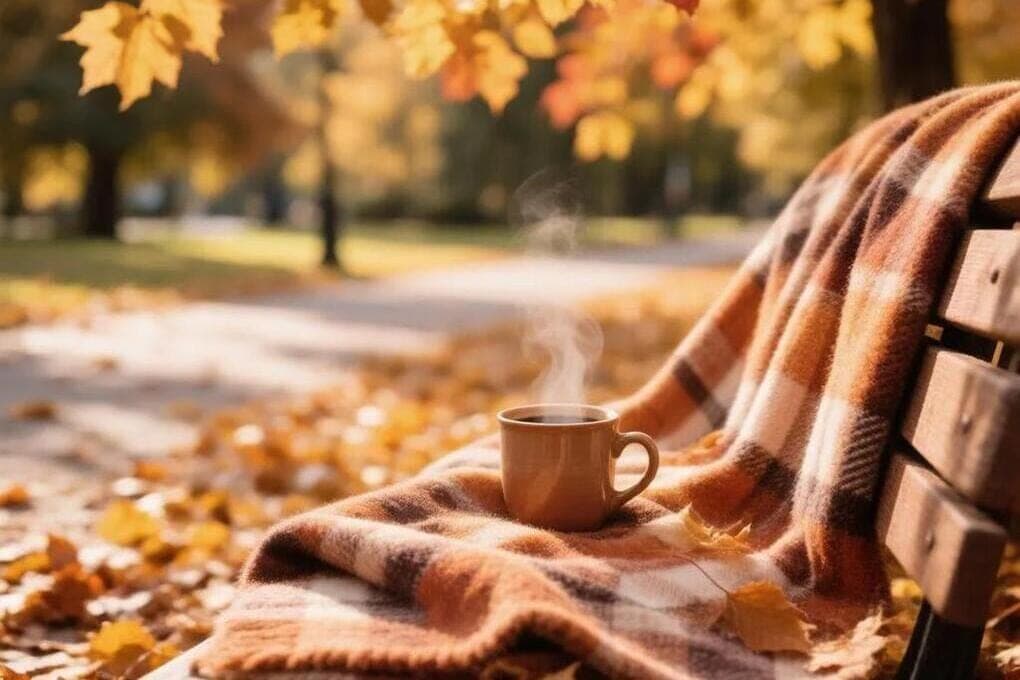 In Ugra, October 18 will be unusually warm for northern autumn