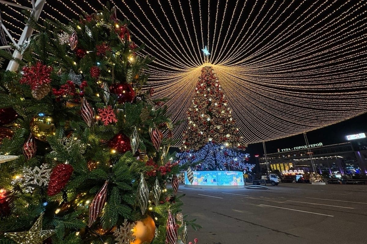 It became known how much Tula will cost a luxurious tree on Lenin Square