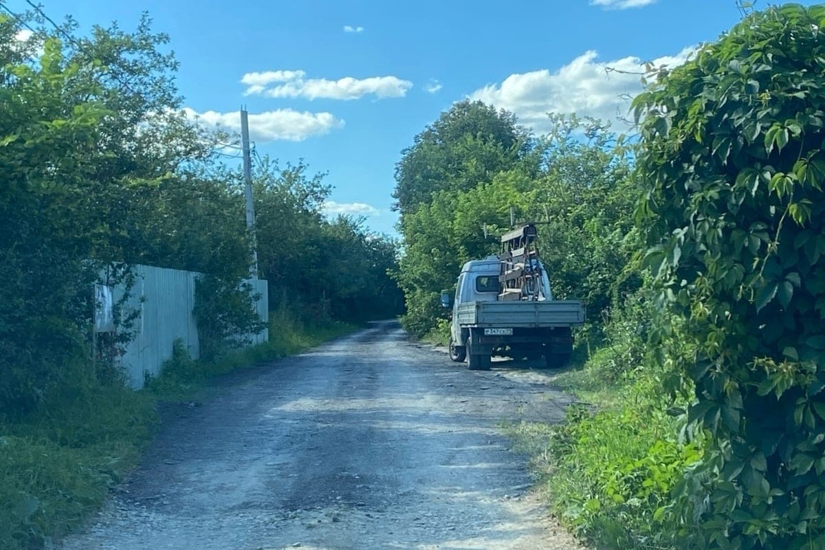 «Прайм»: юрист раскрыл последствия для дачников за выращивание золотарника