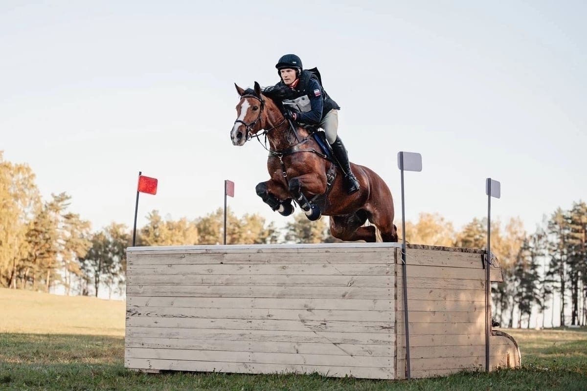 Smolensk athletes won three medals at international competitions in equestrian triathlon