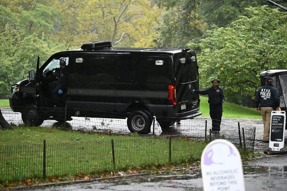 In the United States in the shooting killed five people