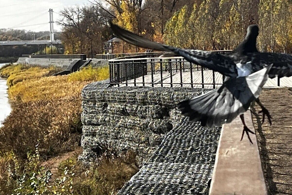 On the embankment of Orenburg, an observation deck sags, but there are no fences