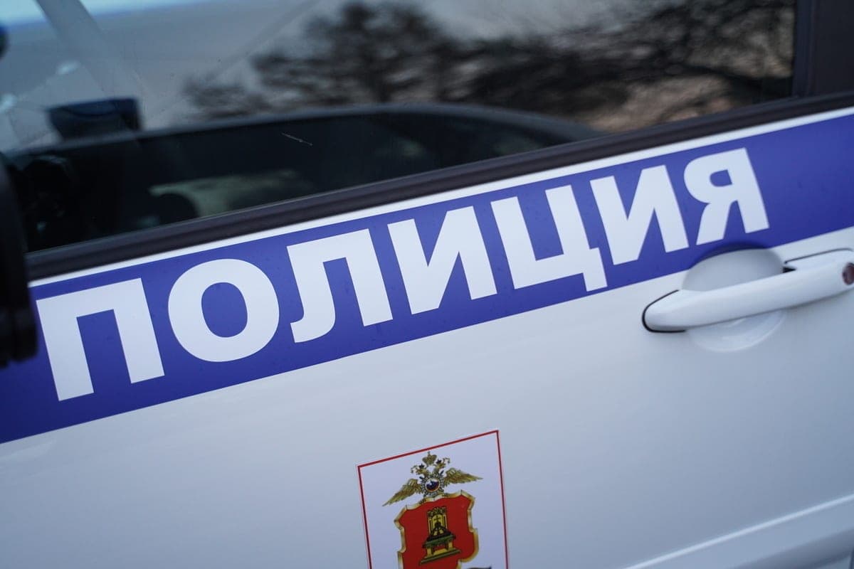 Тверитянка хотела продать козу, но пострадала от мошенников