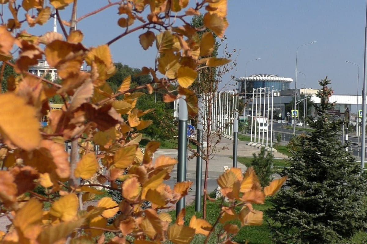 Volgograd residents told about the geomagnetic situation and celestial events on October 14