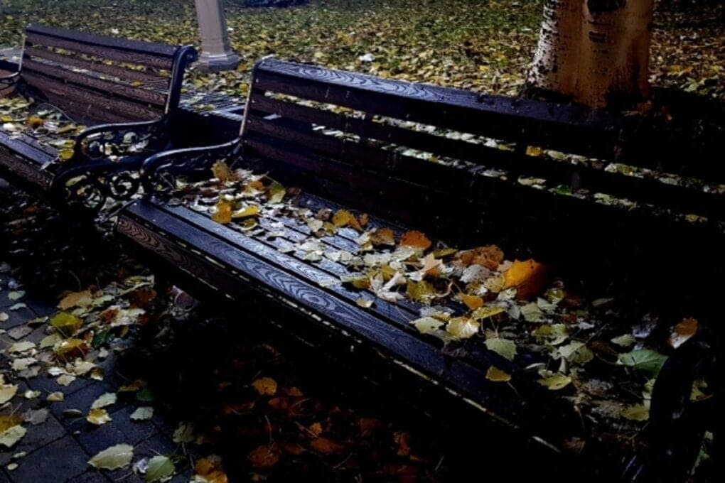 Downpours and wind up to 25 m / s are expected in the Volgograd region