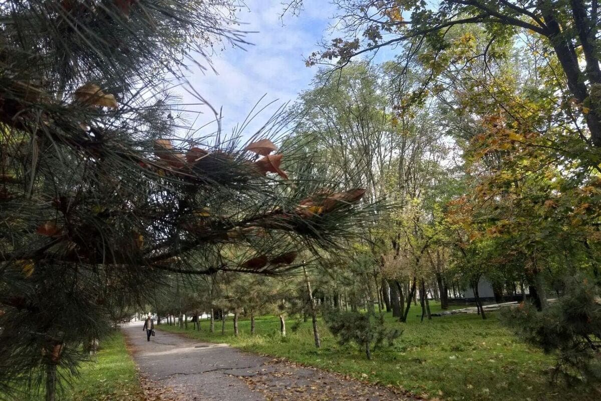 Variable cloudiness without precipitation is expected in Zaporozhye region on October 23-24
