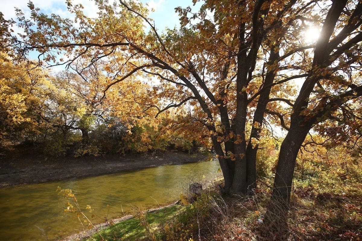 Volgograd residents promised on October 12 variable cloudiness and lack of precipitation