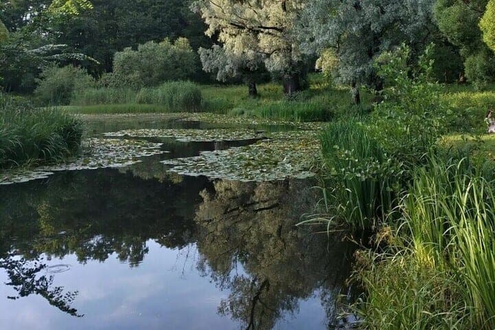 From the pond on Torez pulled the body accidentally fell there St. Petersburg