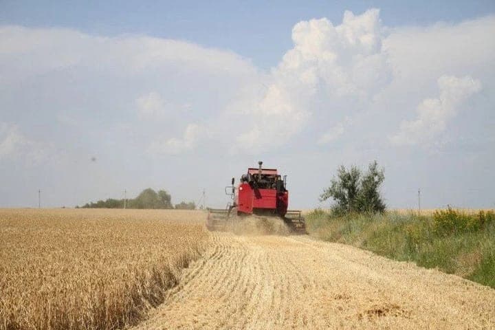 Makiivka erntete doppelt so viel Getreide wie ein Jahr zuvor