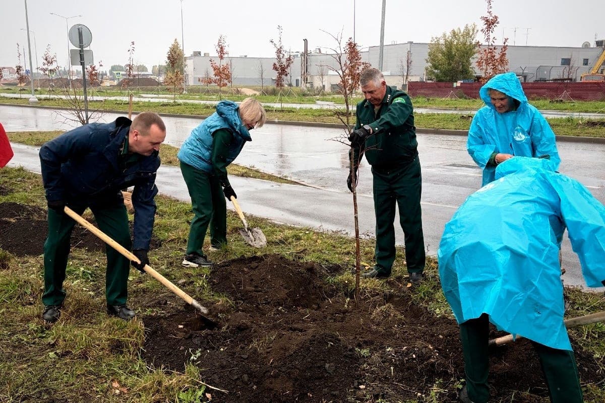 In Lipetsk planted 92 lime trees under a new environmental project