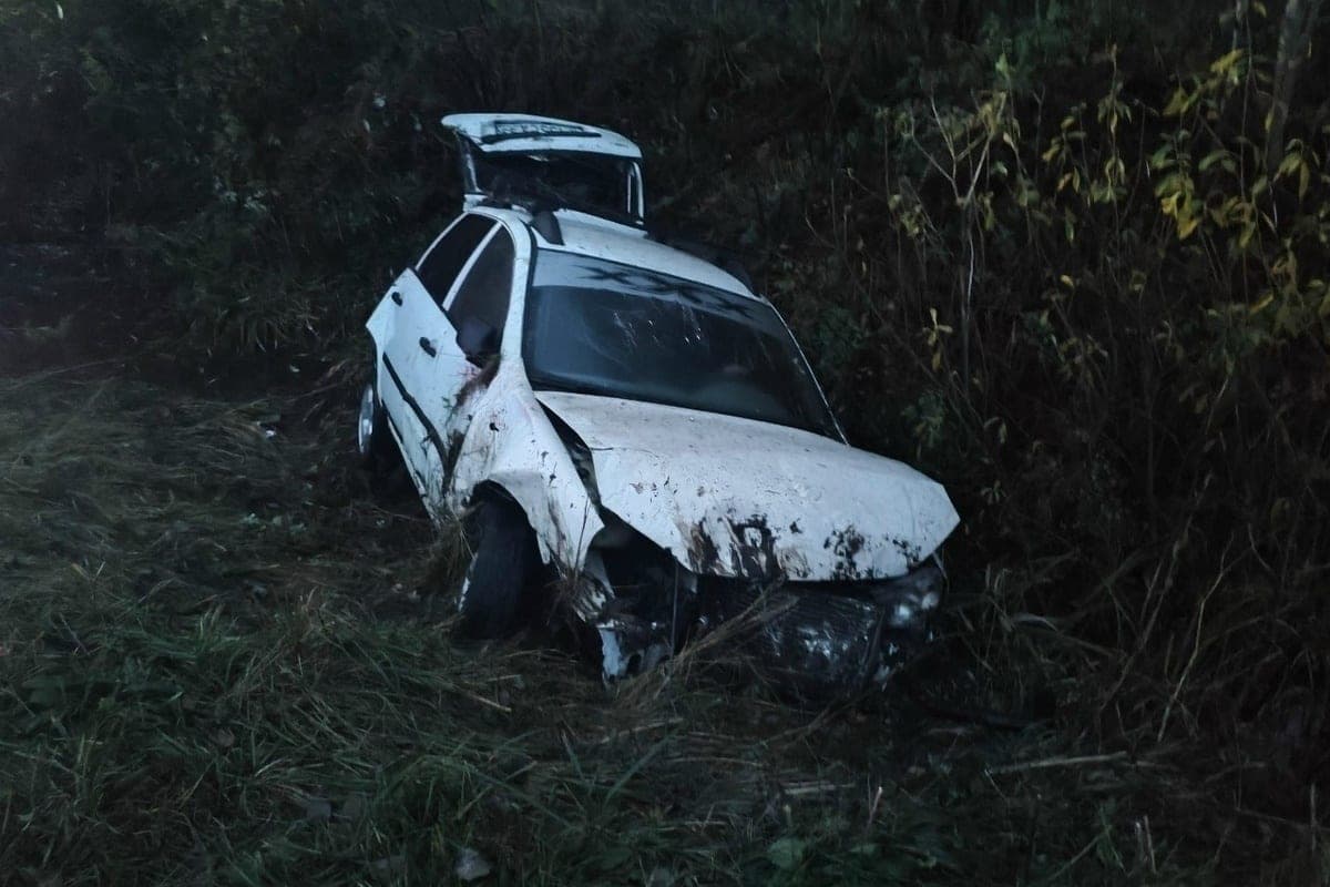 The driver of Lada Kalina was injured, flying into the left ditch in the Demyansky district