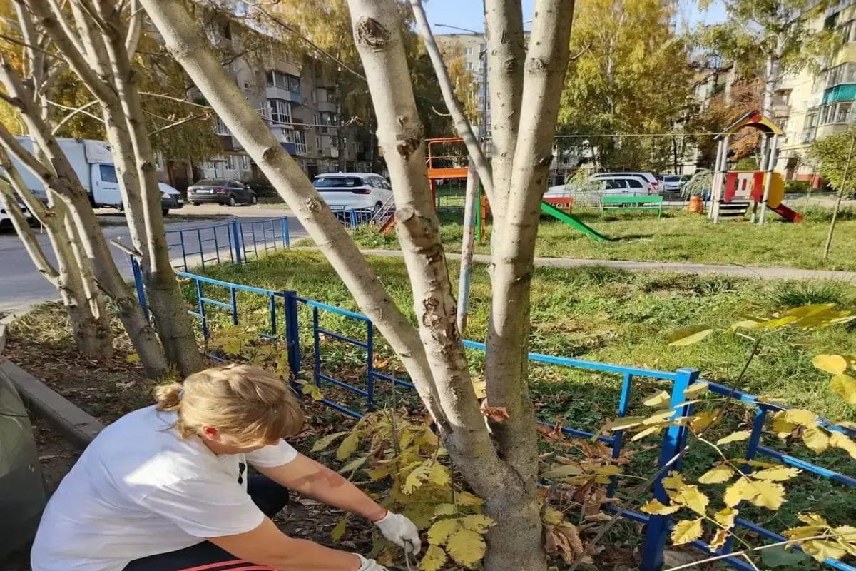 В Тамбове жители северной части города вышли на уборку дворов