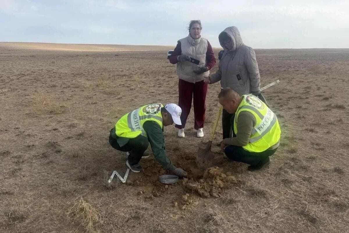 Experts estimated the wintering stock of locusts in Kalmykia and Astrakhan region