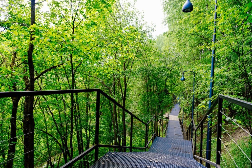Permyakov invited to evaluate the infrastructure of ecoparks “Green ring”