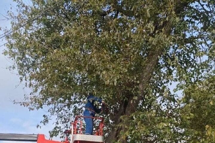 Dans le village de Dagestani Kardonovka dégagé l'autoroute des arbres