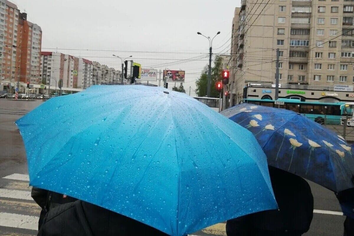 Небольшой дождь и температура до +5 градусов ожидаются в Мурманской области 30 октября
