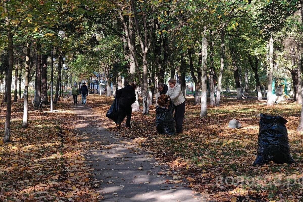 More than 1.4 thousand Vologda residents came out to clean Vologda