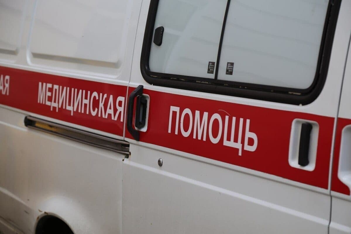 Стая собак напала на ребёнка на платном пруду в Краснодарском крае