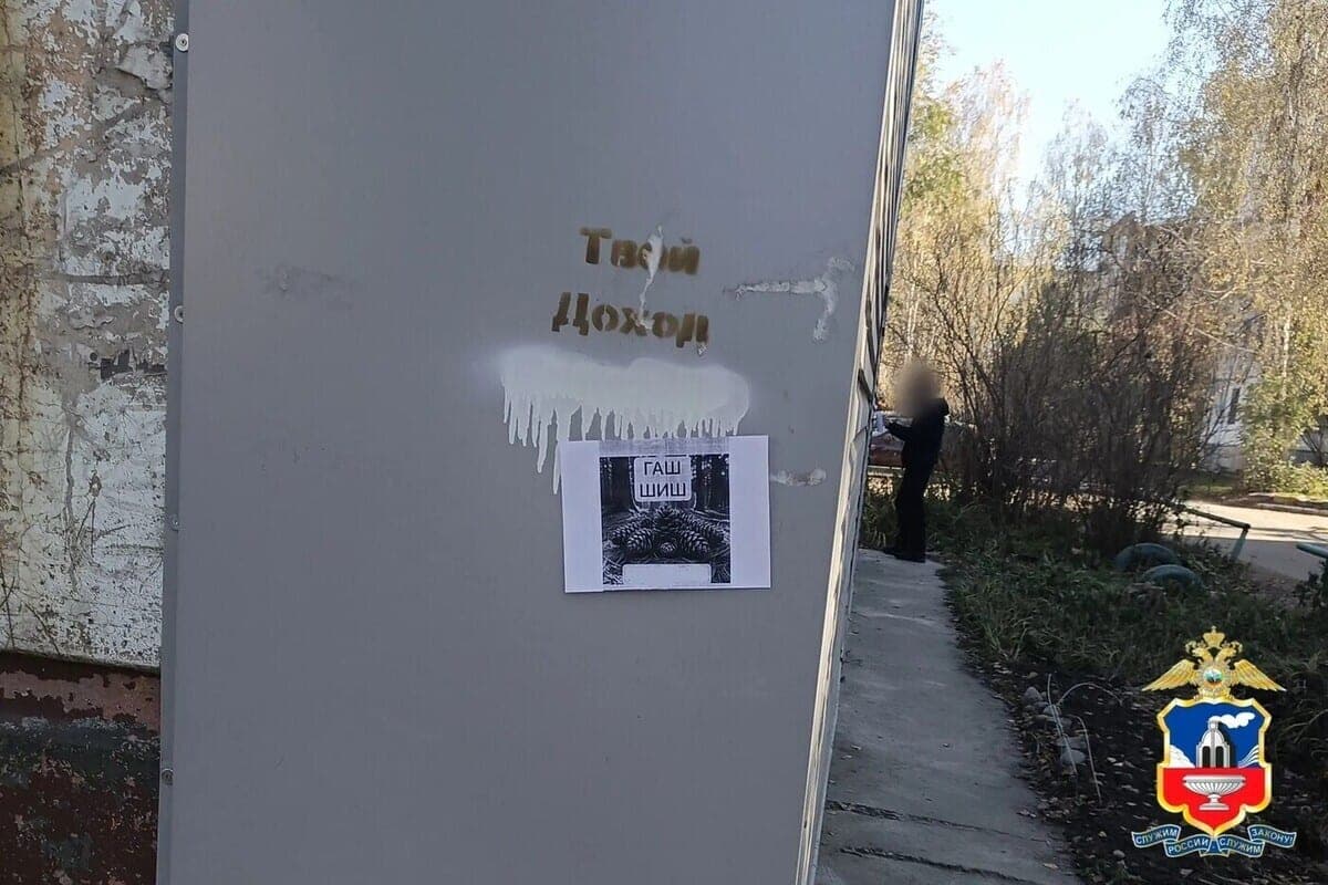 Бийчанин получил 13 лет колонии за рекламу наркошопа и «ревизию» закладок