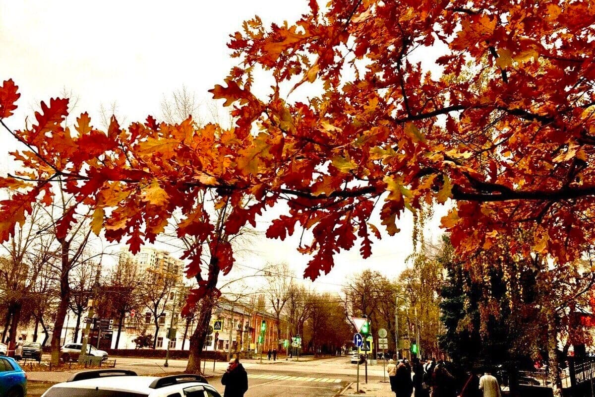 November will bring Voronezh residents ten weekends and holidays