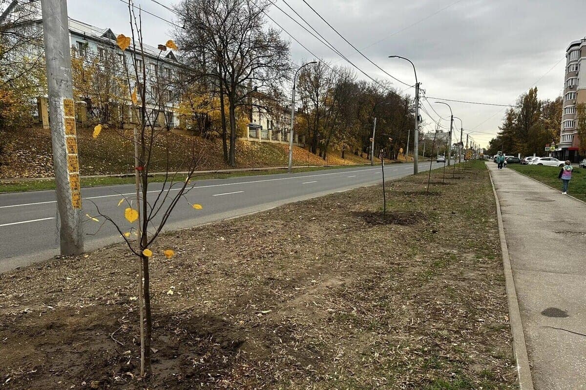 Governor Pavel Malkov took part in the greening of Yesenin Street