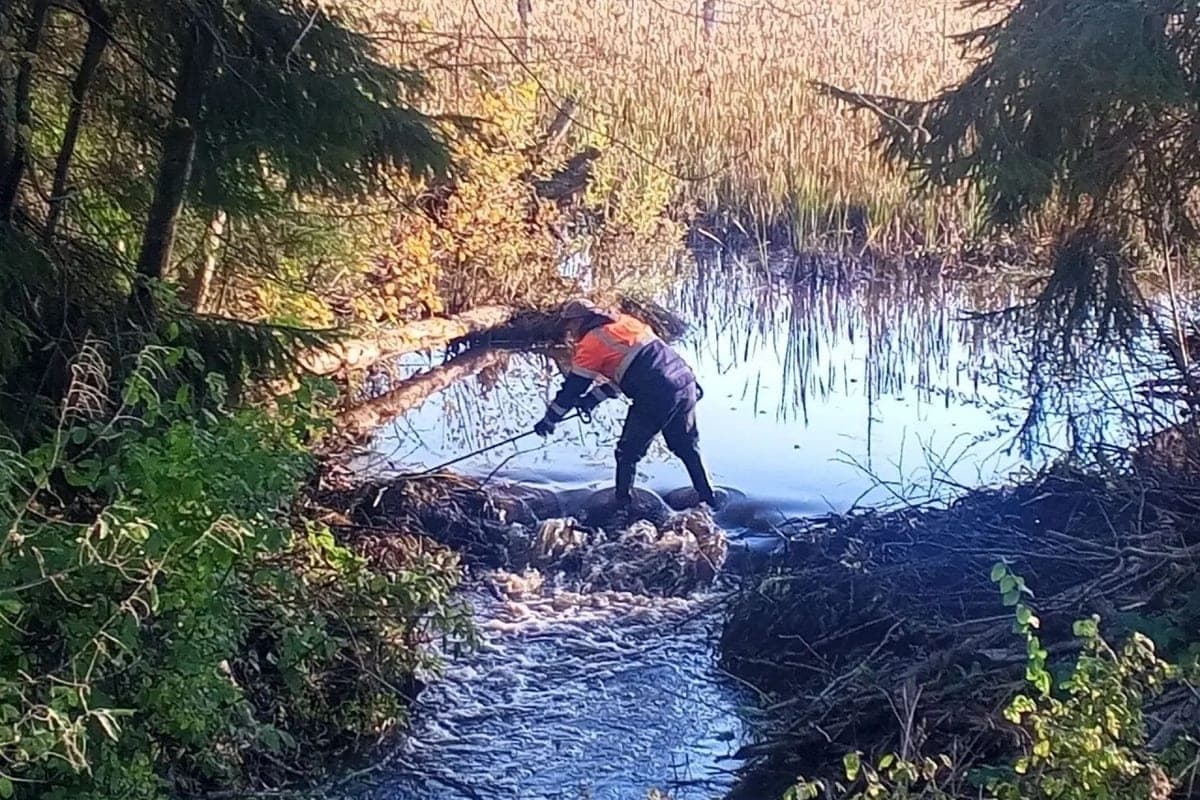 Drivers conducted water drains on 16 roads in nine districts of the Novgorod region
